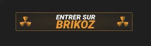 Brikoz